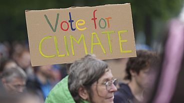 Des militants pour le climat sont descendus dans les rues de Berlin et d'Amsterdam à l'approche des élections européennes.
