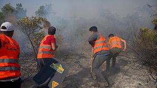 Le Maroc sensibilise aux risques de feux de forêts