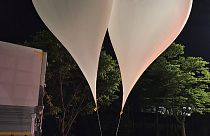 — На этой фотографии, предоставленной Минобороны Южной Кореи - воздушные шары с мусором, предположительно отправленные из КНДР, в провинции Южный Чхунчхон, Южная Корея