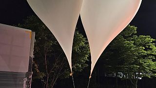 Ballons mit vermutlich von Nordkorea verschicktem Müll in der Provinz Süd-Chungcheong, Südkorea, am Mittwoch, 29. Mai 2024. 