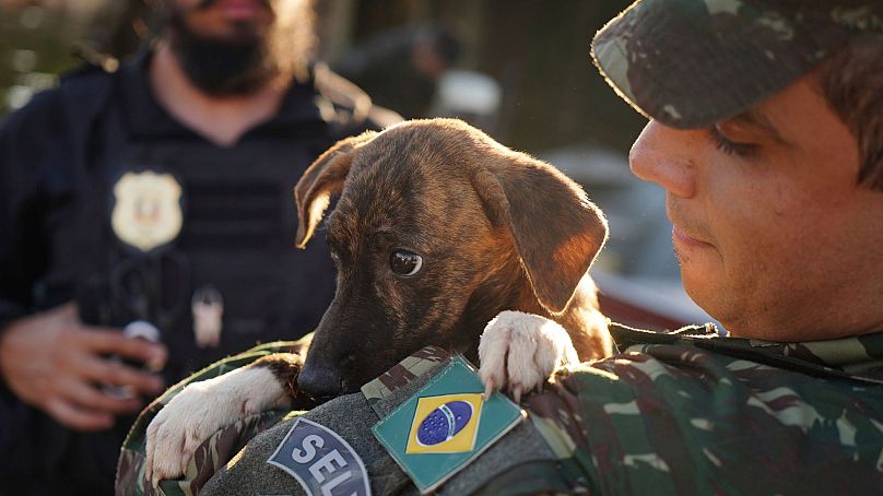 A Brazilian soldier carries a dog after rescuing it from a flooded area after heavy rain in Canoas, Rio Grande do Sul state, Brazil, Thursday, May 9, 2024.