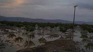 Πλημμύρες στη Μαγνησία (Σεπτέμβριος 2023)