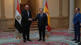 Spanish and Egyptian FMs discuss Gaza in Madrid