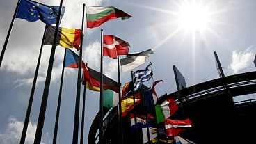 Les drapeaux sont visibles au Parlement européen à Strasbourg