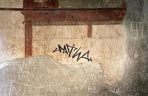 Cultural vandalism: Dutch tourist accused of defacing ancient Roman villa 