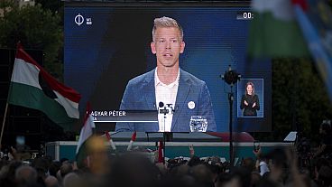 Tisza Partisi lideri Peter Magyar
