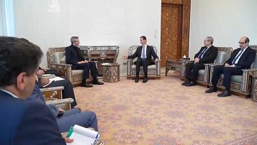 وزير الخارجية الإيراني بالإنابة علي باقري كاني يلتقي بالرئيس السوري بشار الأسد- 4 حزيران 2024