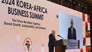 South Korea seeks to expand mineral ties with some African countries