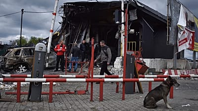Video. Ukraine update: Russia hits civilian targets in Dnipro and ...
