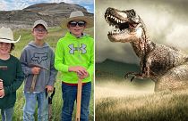 Tres niños encontraron un fósil de T. rex en Dakota del Norte. Ahora un museo de Denver trabaja para revelarlo por completo