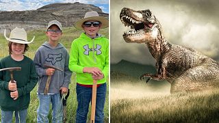 Tres niños encontraron un fósil de T. rex en Dakota del Norte. Ahora un museo de Denver trabaja para revelarlo por completo