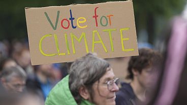 People protest during the Fridays for Future climate strike, in Hamburg, 31 May 2024