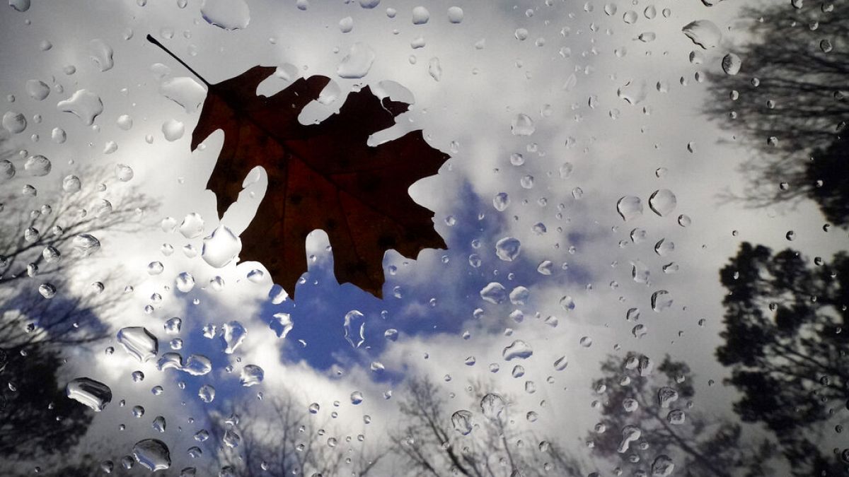 A fall leaf and rain drops are seen through a vehicle's sunroof Monday, Dec. 14, 2020, in Charlotte, N.C.