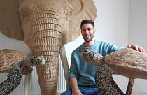 Josh Gluckstein creates sculptural wildlife masterpieces entirely from cardboard 