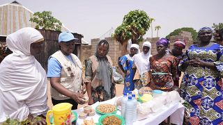 UNICEF introduces nutrition programme in Nigeria to combat child malnutrition