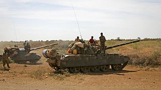 Sudan: RSF kills at least 100 in attack on village - activists say