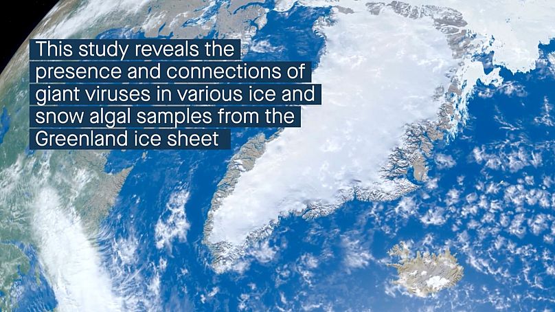 Ansicht des grönländischen Eisschilds aus dem Artikel von Perini et al. in der Zeitschrift Microbiome