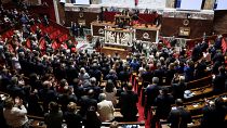 Французские законодатели аплодируют президенту Украины Владимиру Зеленскому в Национальной ассамблее в Париже, 7 июня 2024 г.