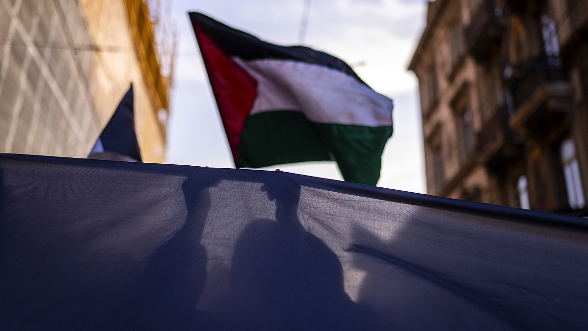 أعلام فلسطينية خلال مظاهرة مؤيدة للفلسطينيين في اسطنبول.