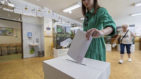 выборы в Европаламент