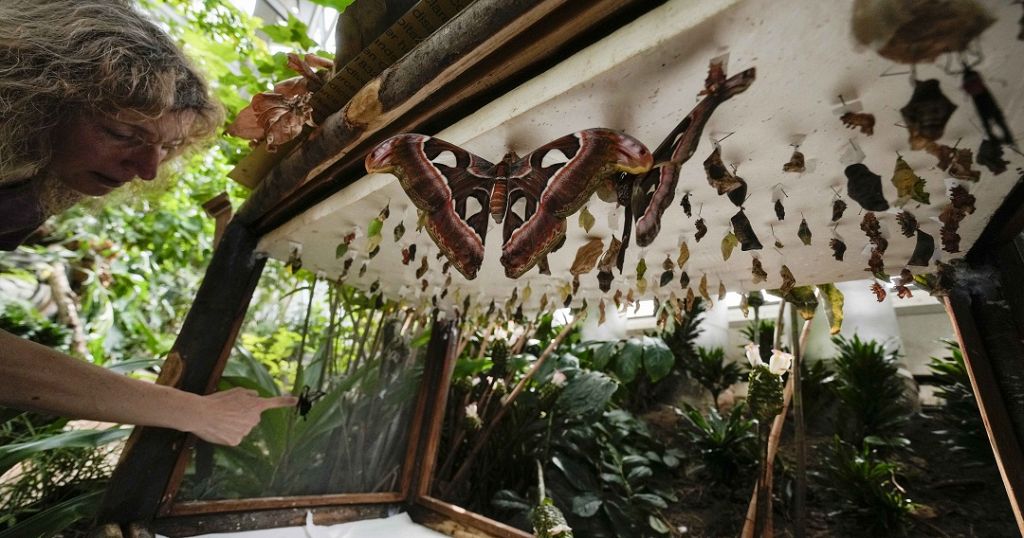 Tanzanian forest recreated in Italy to raise awareness on biodiversity research Tanzanian forest recreated in Italy to raise awareness on biodiversity research