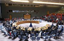 Il Consiglio di Sicurezza delle Nazioni Unite