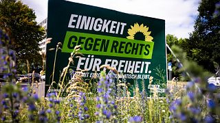 Mit dem Slogan "Einigkeit - Gegen Rechtsextremismus - Für Freiheit, damit Europa demokratisch bleibt" ein Wahlplakat der Grünen Partei für die Europawahlen.