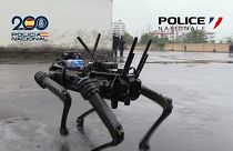 Кадр из видео: робот-сапёр, использованный в ходе учений "Оптимус" французской и испанской полиций, 11 июня 2024 г.