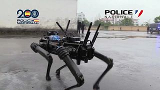 Кадр из видео: робот-сапёр, использованный в ходе учений "Оптимус" французской и испанской полиций, 11 июня 2024 г.