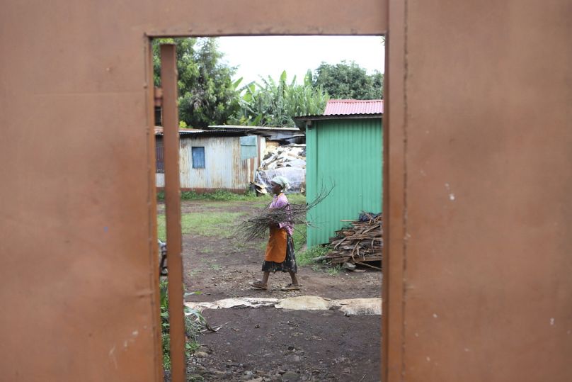 carries firewood home to prepare breakfast in Kiambu, Kenya, May 2024