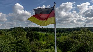 Una bandera nacional alemana ondea en un campo a las afueras de Fráncfort, Alemania, el miércoles 22 de mayo de 2024. (AP Photo/Michael Probst)