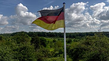 Una bandera nacional alemana ondea en un campo a las afueras de Fráncfort, Alemania, el miércoles 22 de mayo de 2024. (AP Photo/Michael Probst)