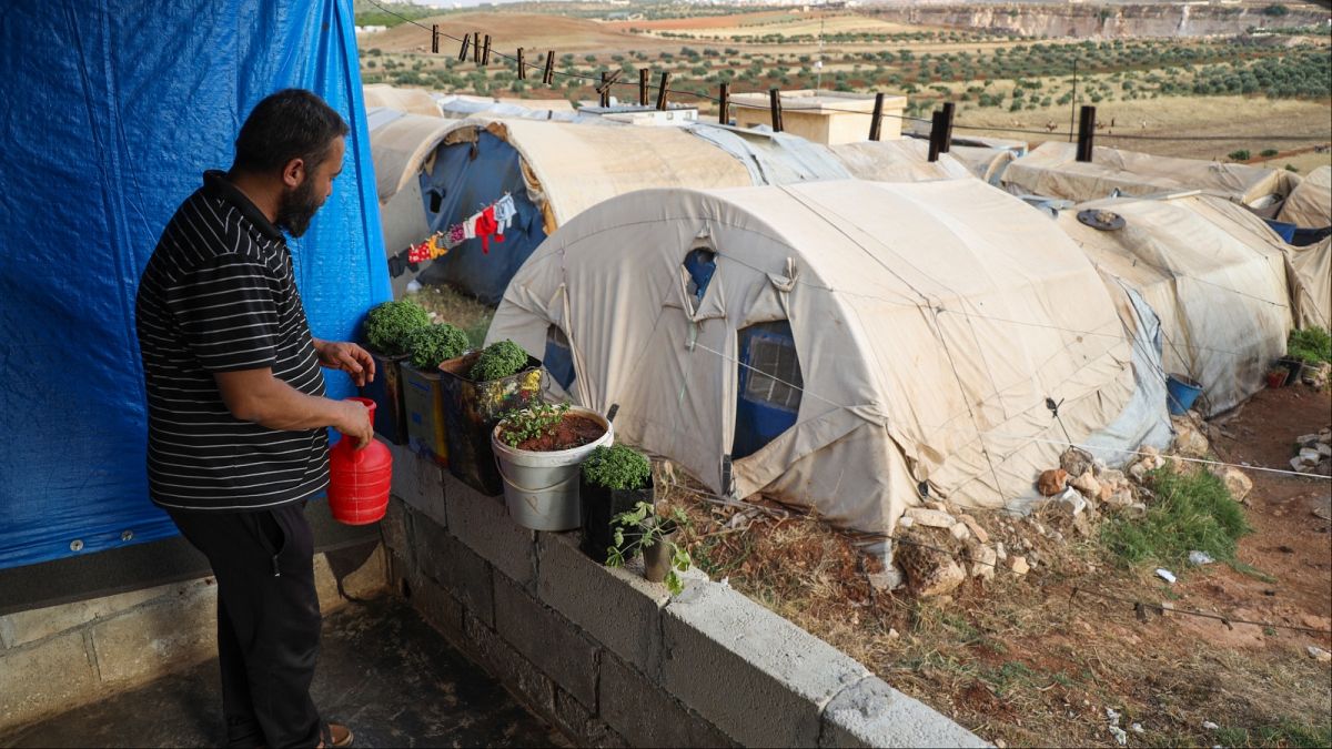 رمزي يوسف يسقي النباتات بجوار خيمته في مخيم للنازحين، في معرة مصرين، بالقرب من إدلب، سوريا، الاثنين 27 مايو 2024. 