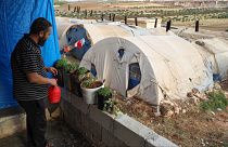 رمزي يوسف يسقي النباتات بجوار خيمته في مخيم للنازحين، في معرة مصرين، بالقرب من إدلب، سوريا، الاثنين 27 مايو 2024. 