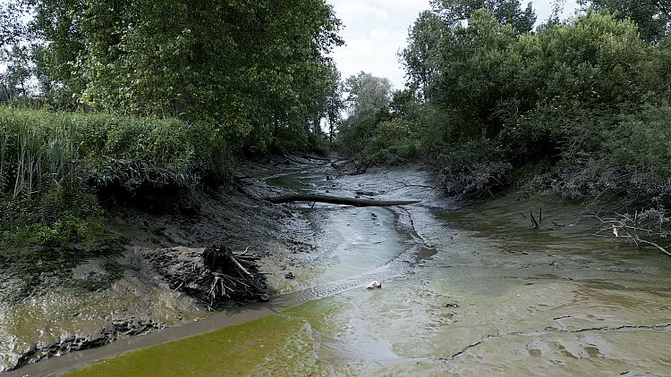 Come le Fiandre sfruttano la natura per prevenire le inondazioni mortali