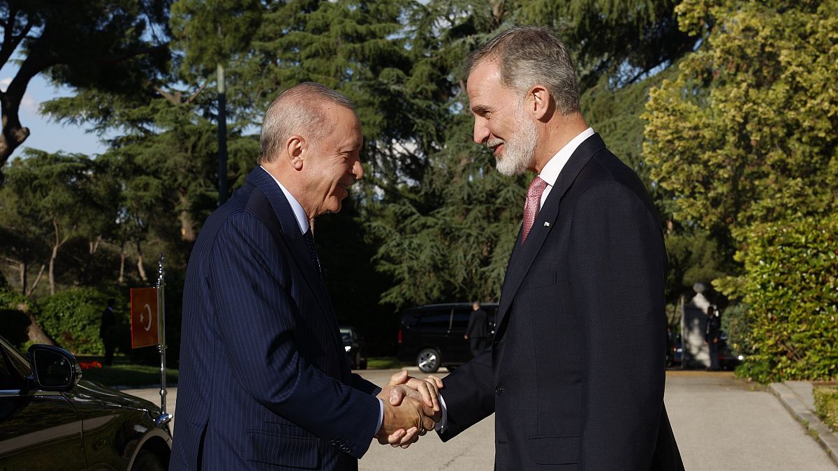 Der türkische Präsident Recep Tayyip Erdogan Erdoğan und der König Felipe VI. von Spanien wollen die Beziehungen der beiden Länder vertiefen.