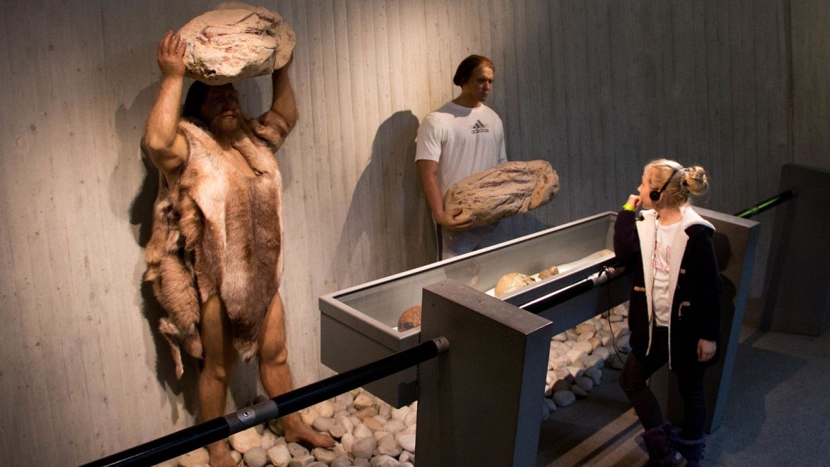 موزه نئاندرتال‌ها در متمان آلمان