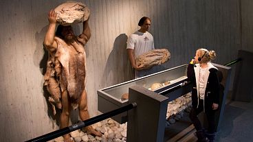 موزه نئاندرتال‌ها در متمان آلمان
