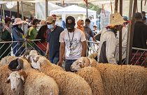 الناس يتجمعون لشراء الأغنام بمناسبة عطلة عيد الأضحى الإسلامية القادمة في سوق على مشارف الرباط، المغرب