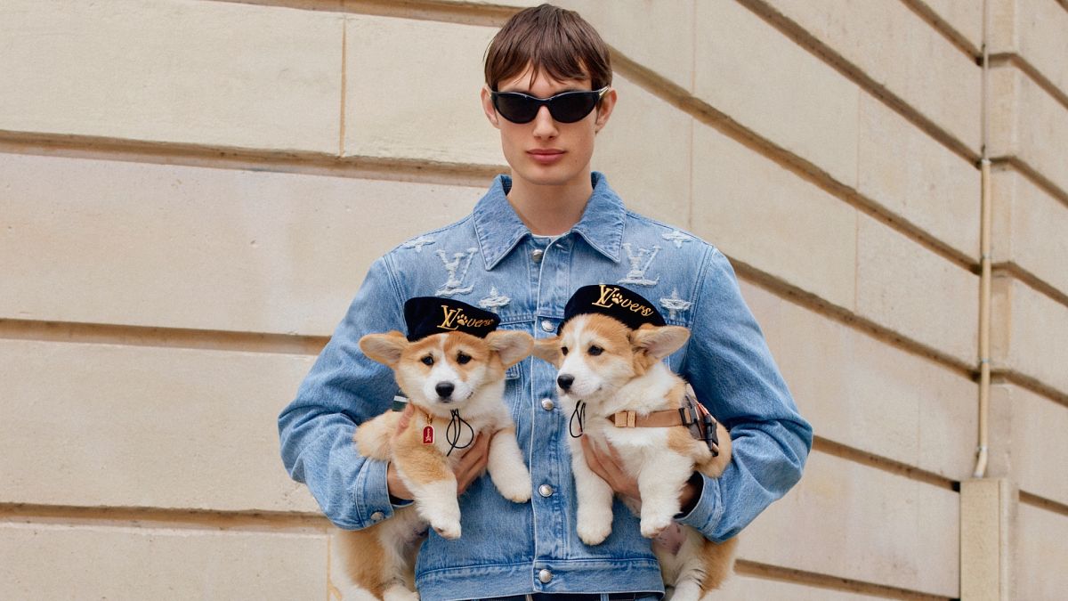 Gone to the dogs? Louis Vuitton goes barking mad with new canine collection thumbnail