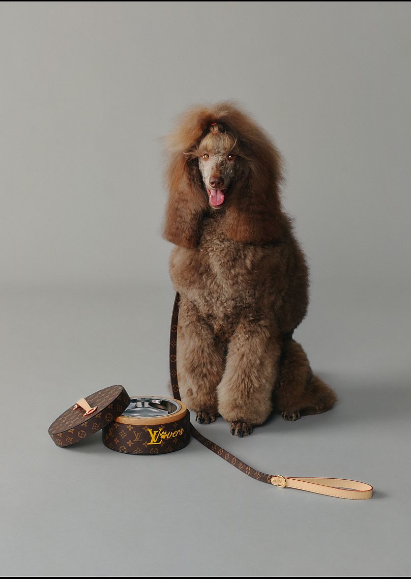 Gone to the dogs? Louis Vuitton goes barking mad with new canine collection  | Euronews