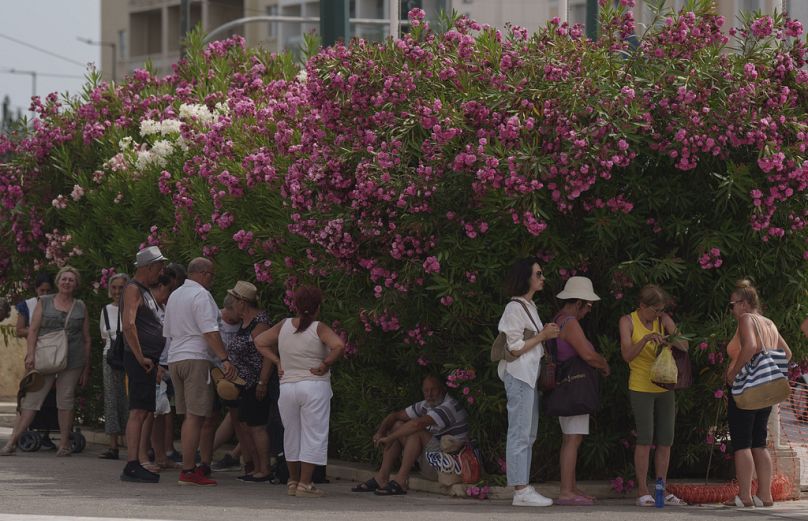 Touristen stehen am Donnerstag, den 13. Juni 2024, im Schatten von Büschen im Zentrum von Athen.  