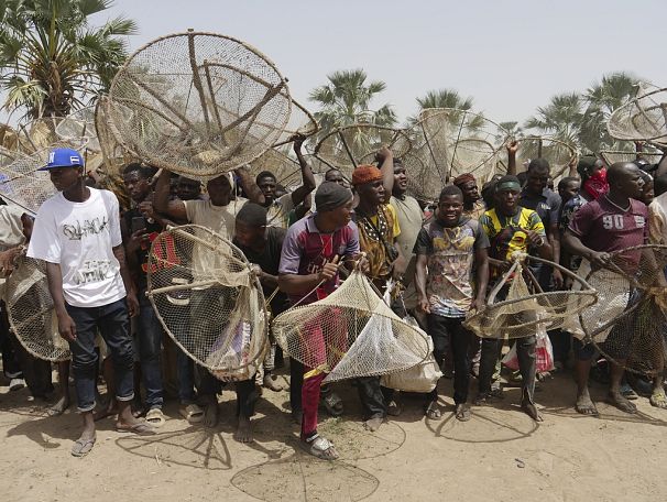Des milliers de pêcheurs remplissent un grand étang boueux et jettent leurs filets dans la ville de San, au sud du Mali, le 6 juin 2024
