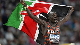 Athlétisme : le recordman kényan en route pour les Jeux de Paris 