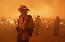 İtfaiyeciler yangını söndürmeye çalışıyor, Pazar, 16 Haziran 2024, Gorman, Kaliforniya.