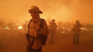 İtfaiyeciler yangını söndürmeye çalışıyor, Pazar, 16 Haziran 2024, Gorman, Kaliforniya.