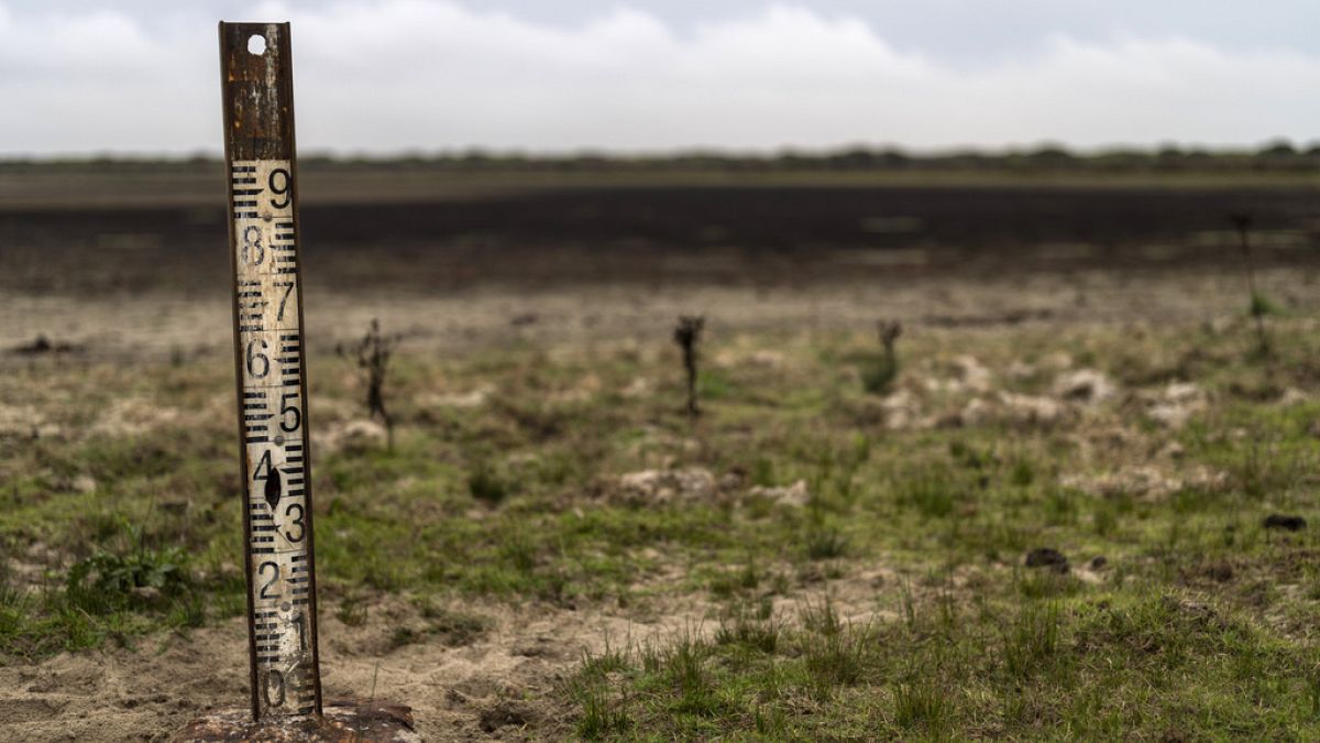 Archivo: Un medidor de agua en un humedal seco en el parque natural de Doñana, al suroeste de España, el 19 de octubre de 2022.