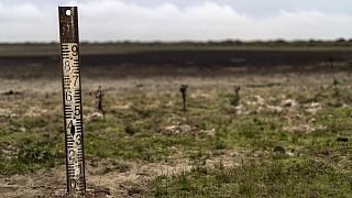 Ein Wasserzähler steht in einem trockenen Feuchtgebiet im Naturpark Donana im Südwesten Spaniens am 19. Oktober 2022.