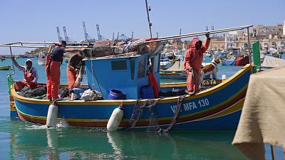 Scientific observers work with fishers shaping future of Malta's marine ecosystem