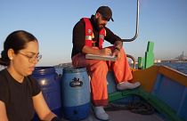Como é a relação entre os cientistas marinhos e os pescadores?